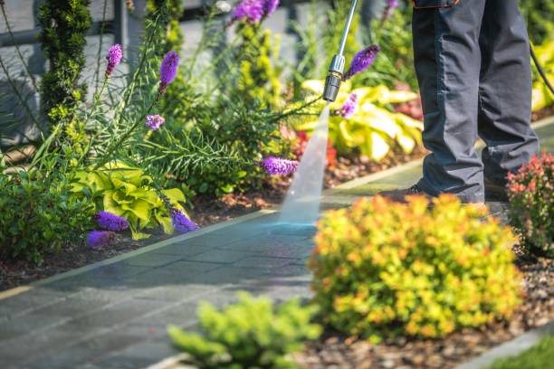 Best Restaurant Pressure Washing  in North Massapequa, NY